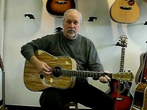 washburn acoustic guitar d46sp